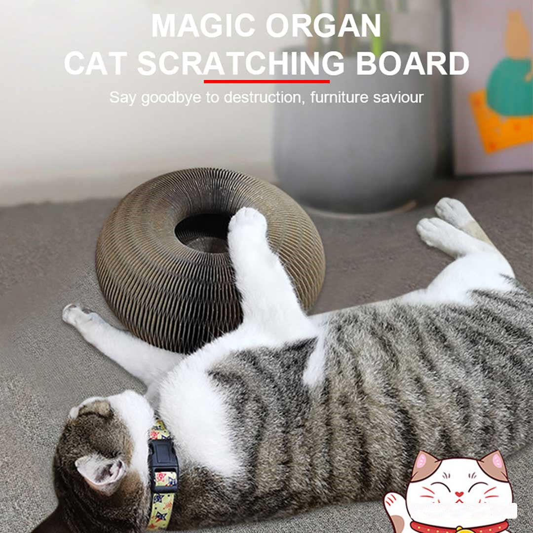 Magic Organ Cat Scratching Board Toy